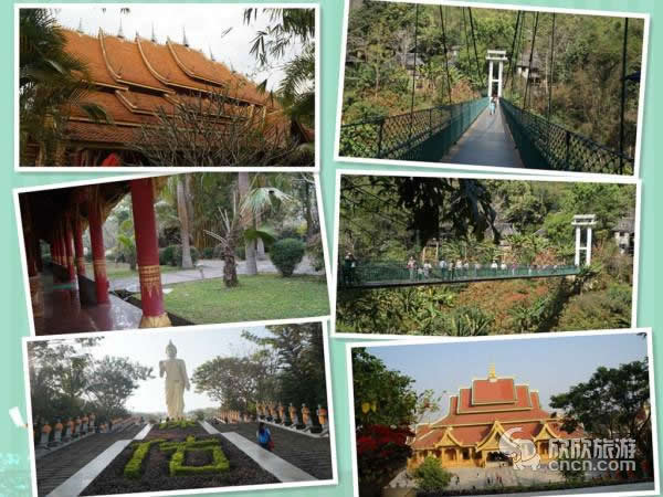 ��˫�����Լ���·��