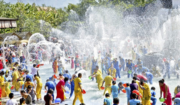 ��˫����