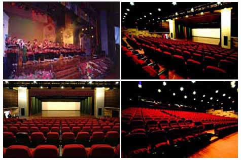 �Ƶ�๦����