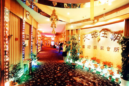 �Ƶ����ֻ���