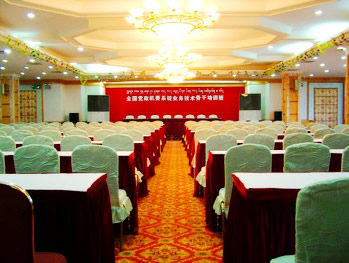 �Ƶ������