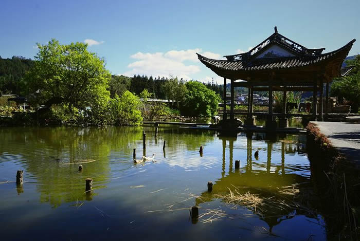 ��˳����