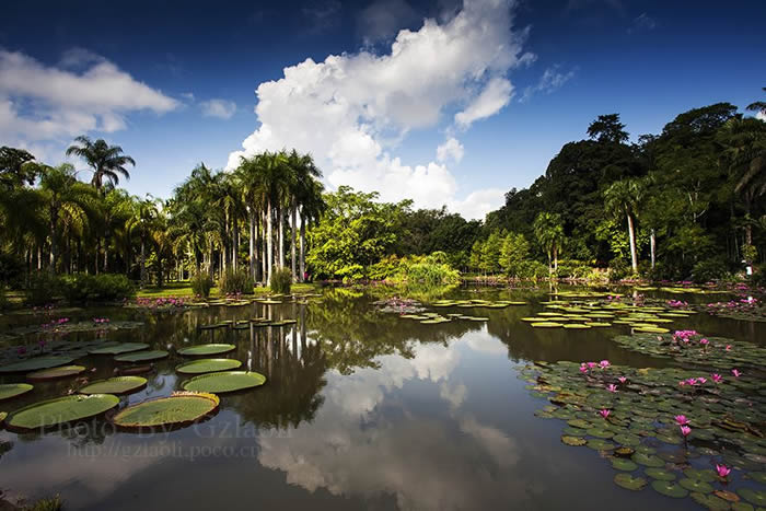 ����ֲ��԰