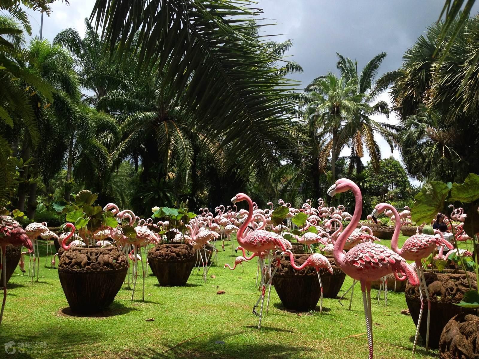 ������԰