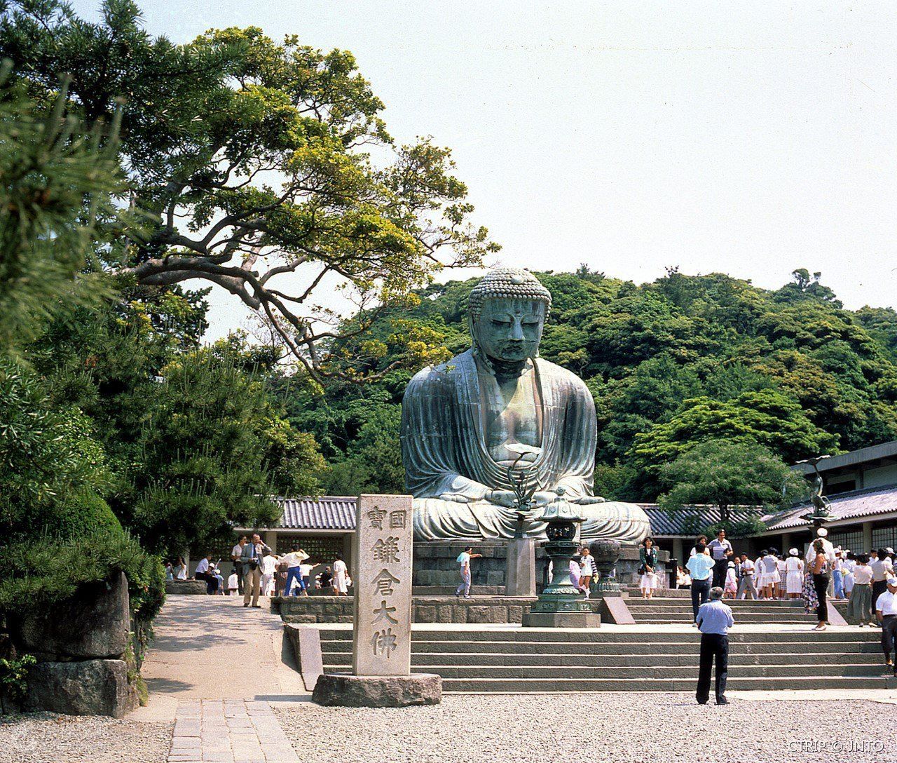 镰仓大佛